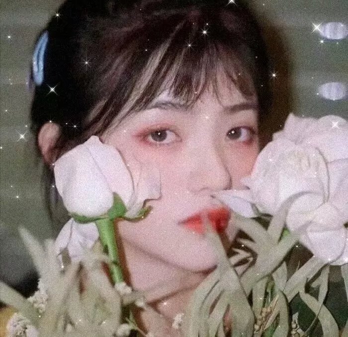 热播精选